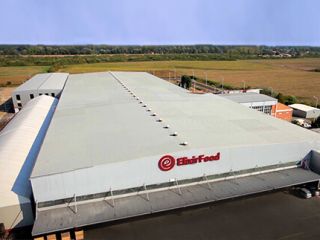 Sale of a factory for the production of frozen