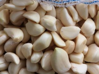 for sale peeled garlic, very good quality, I ensure