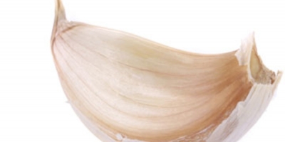Buy pure white garlic for more details on prices