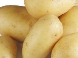 Netherlands potatoes for sell for more details on prices