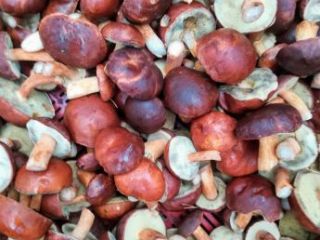 I will sell mushrooms, mushrooms. Larger amounts of.