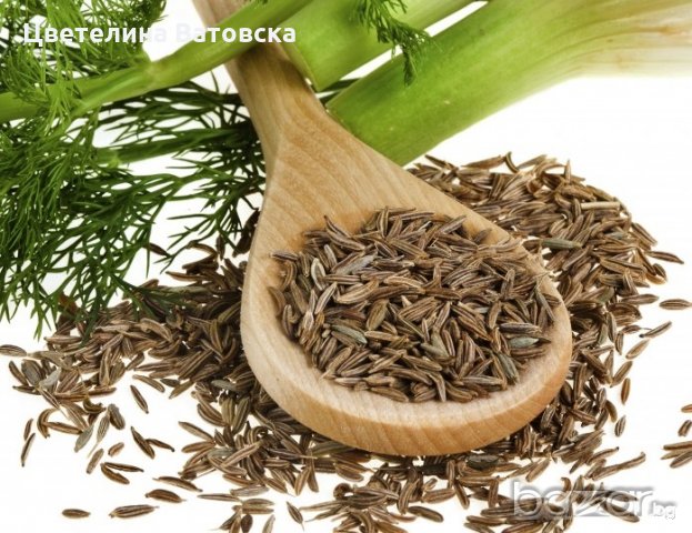 I sell dill seeds
