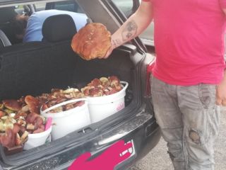I will sell boletus mushrooms on request