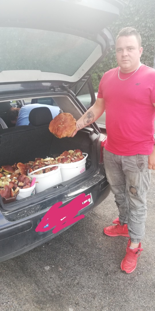 I will sell boletus mushrooms on request