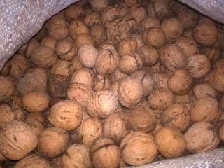 I will sell organic walnuts from the current harvest