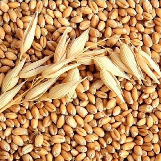 We supply food and beverages FMCG and many more products please contact if interested
