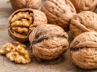 I will sell walnuts from this year's harvest, large