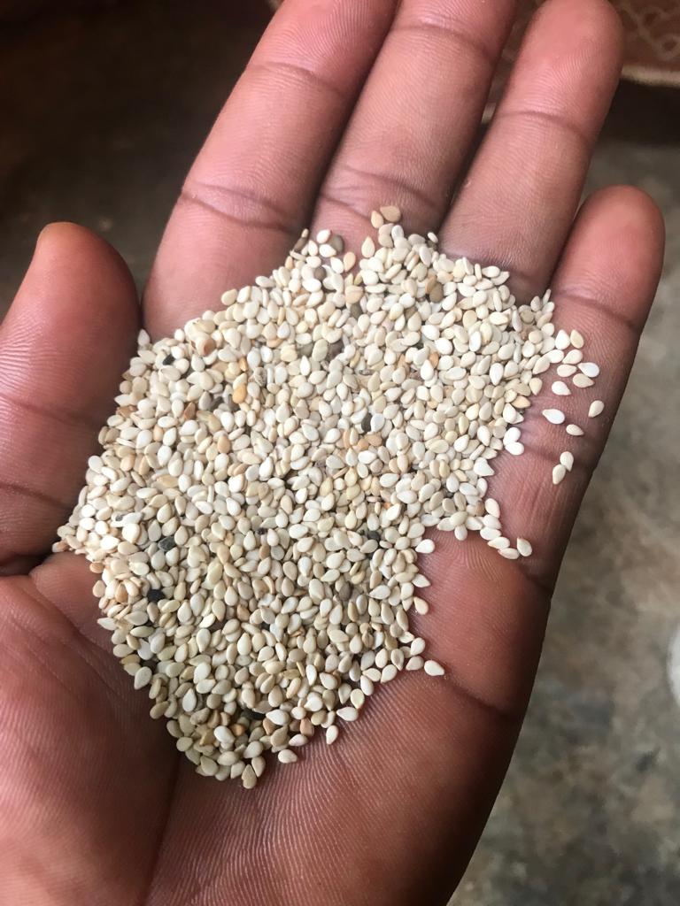 Sesame seeds We have available sesame seeds in huge quantities