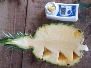 We have available pineapple from Ivory Coast in west