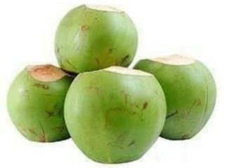 Fresh young whole coconut from EU available contact Whats
