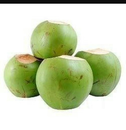 Fresh young whole coconut from EU available contact Whats App Line: for more information