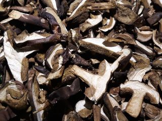 I will sell dried mushroom.