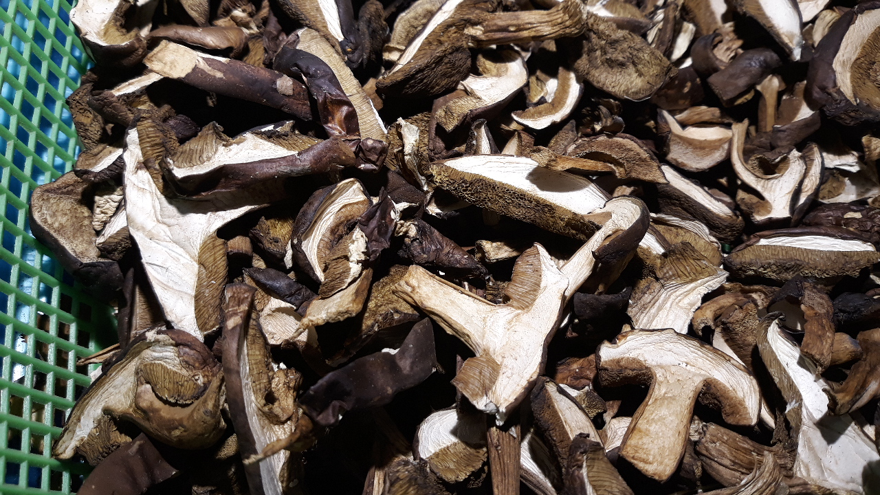 I will sell dried mushroom