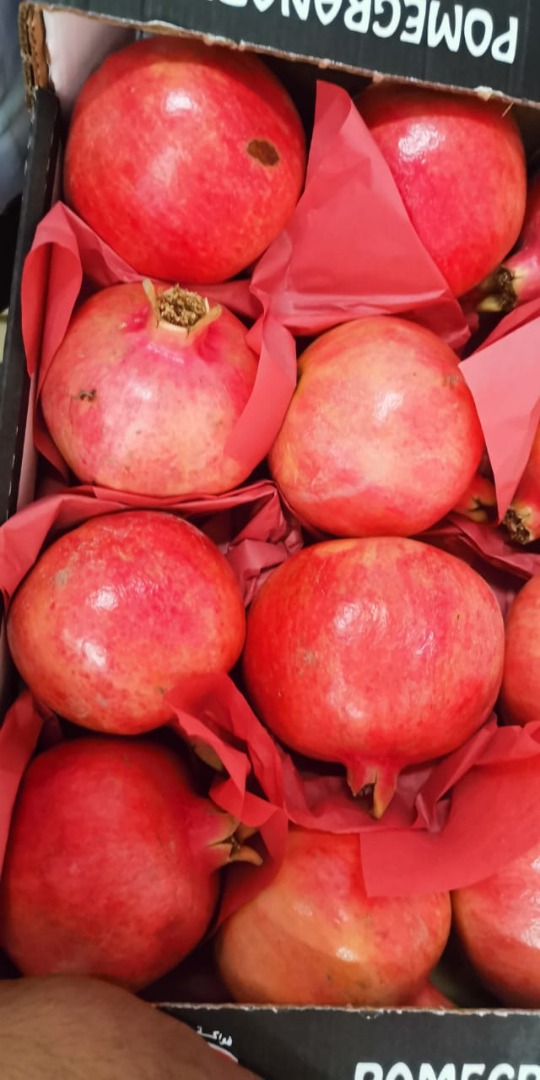 variety :- Wonderful Packing: - carton 5kg gross, 4.5 Net