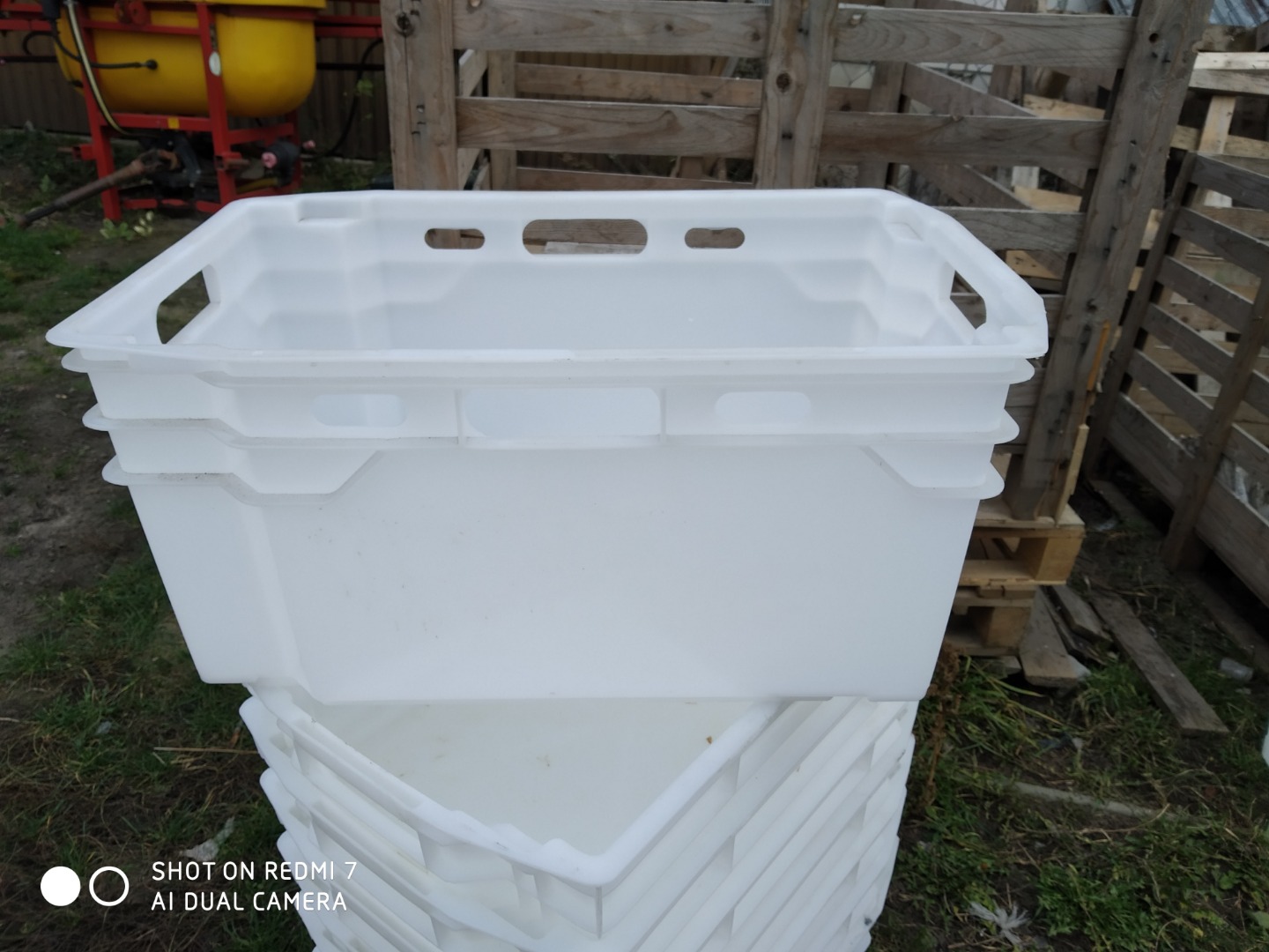 I will sell plastic boxes euro containers full of dill and other vegetables requiring permanent access to water