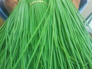 Hi, We are vegetable and herbs grower In Tanzania,