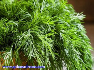 Herbs at higher level of quality and best compitative