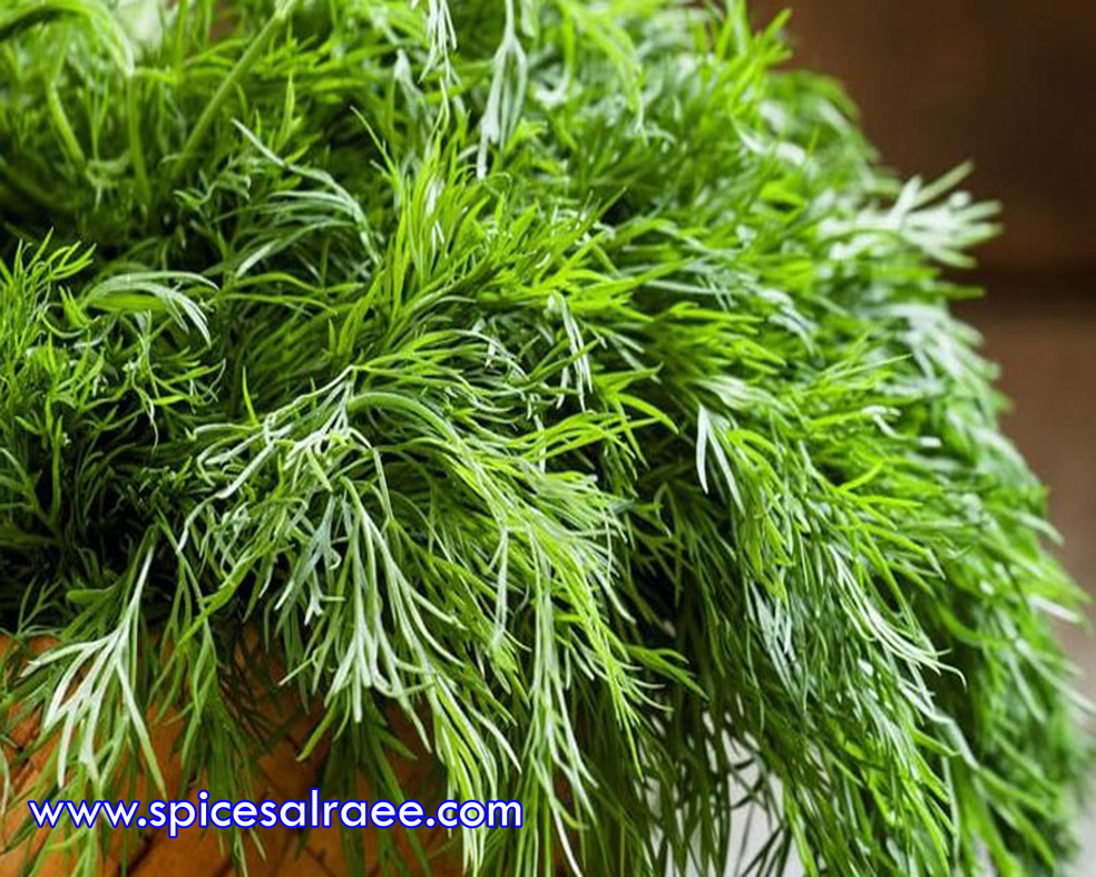 Herbs at higher level of quality and best compitative price