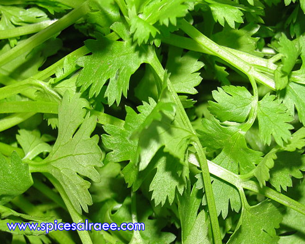 Hi Dear, we have parsley herbs at high quality , good herbs leave