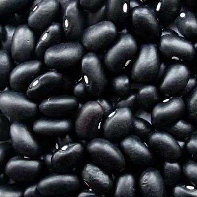 We have processing facilities located in the heart of each region where beans products are grown