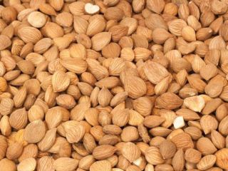 Apricot kernels for sale