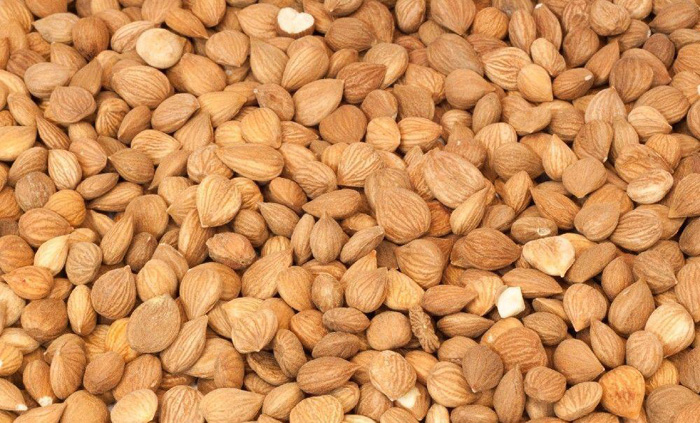 Apricot kernels for sale