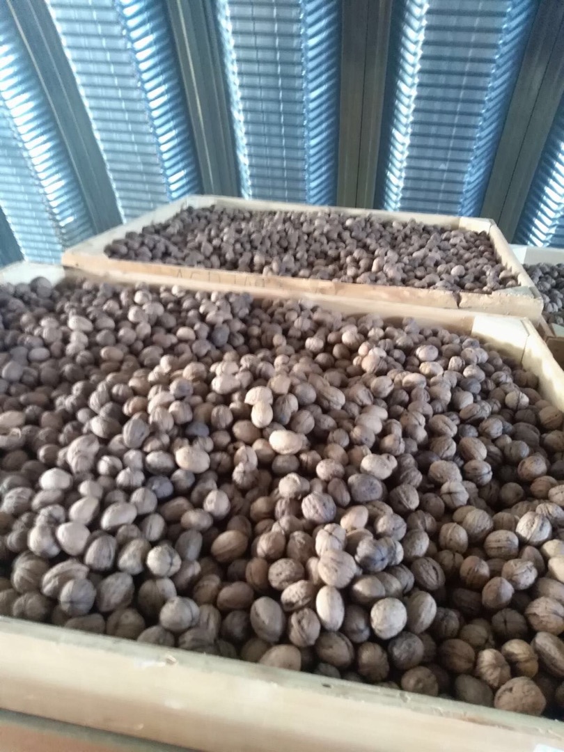 The best nuts for damage