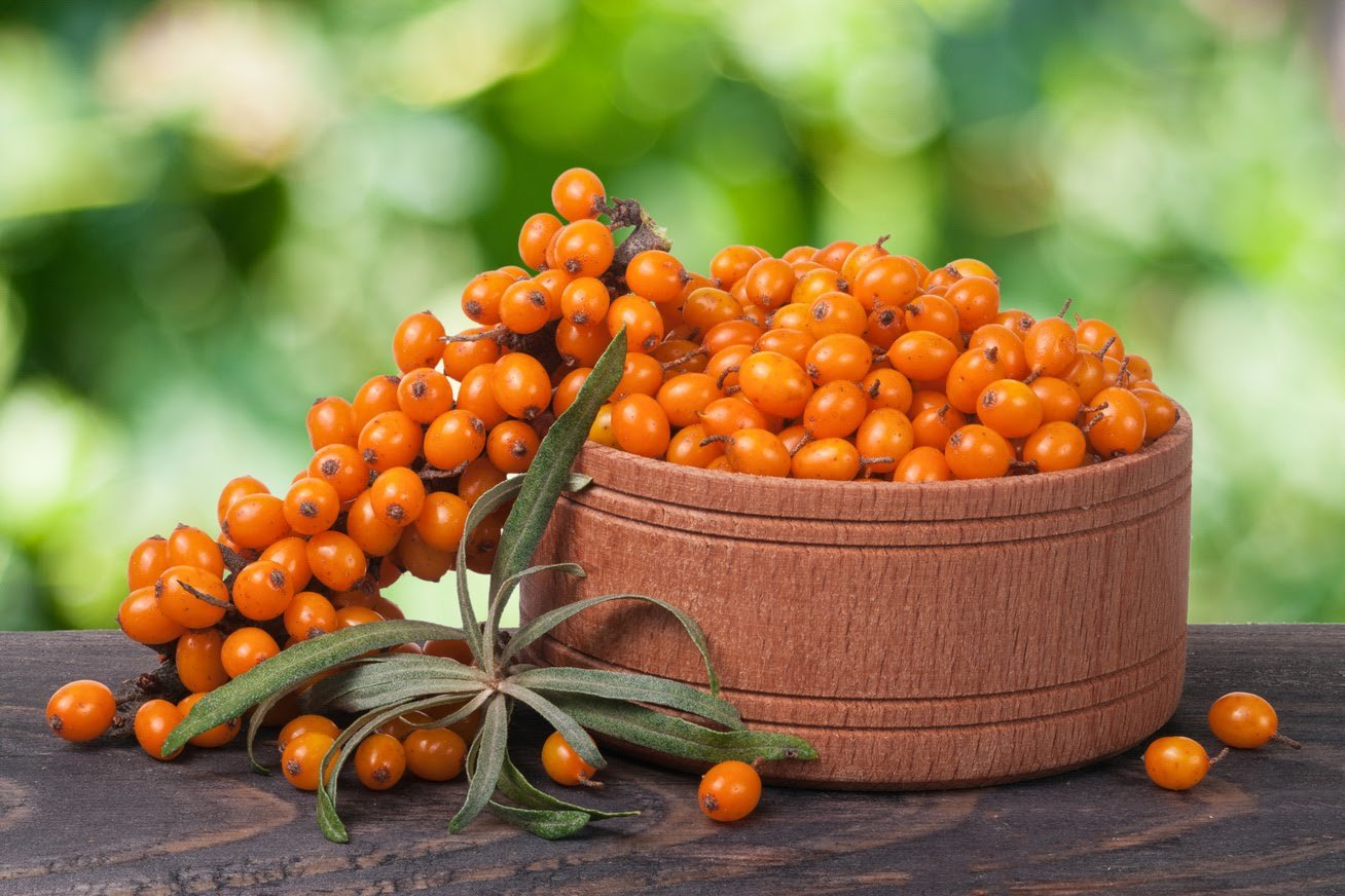 Frozen seabuckthorn berry is for sale