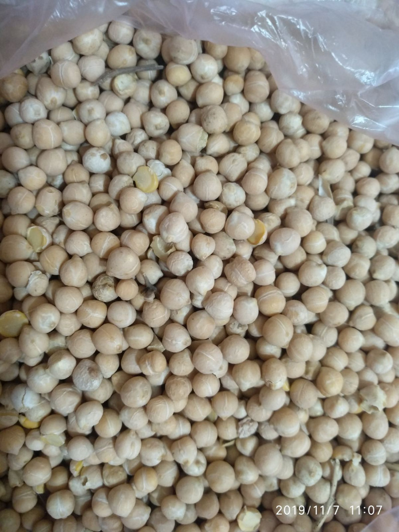 VInd Naut roada 2019 240 tons