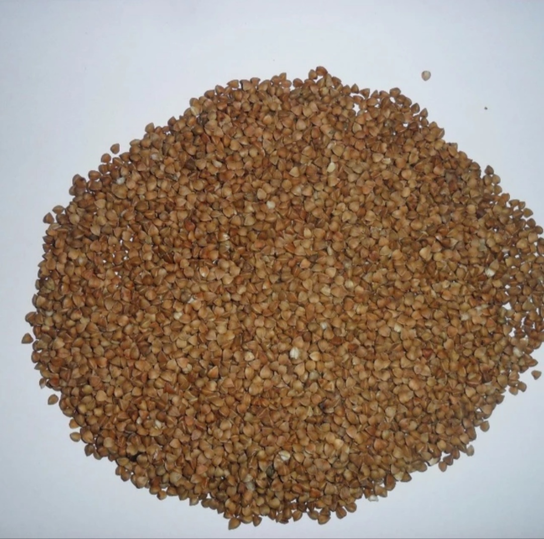 We deliver wholesale buckwheat