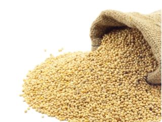 We deliver wholesale millet. We guarantee high quality and