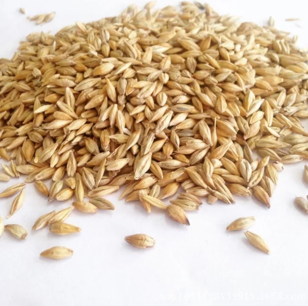 We deliver wholesale barley