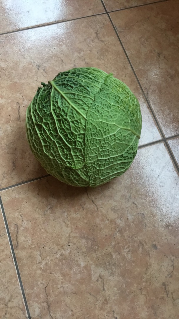 Hello, I have to sell 2-3kg Italian cabbage