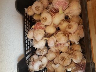 Sell garlic. Detailed information can be found at or