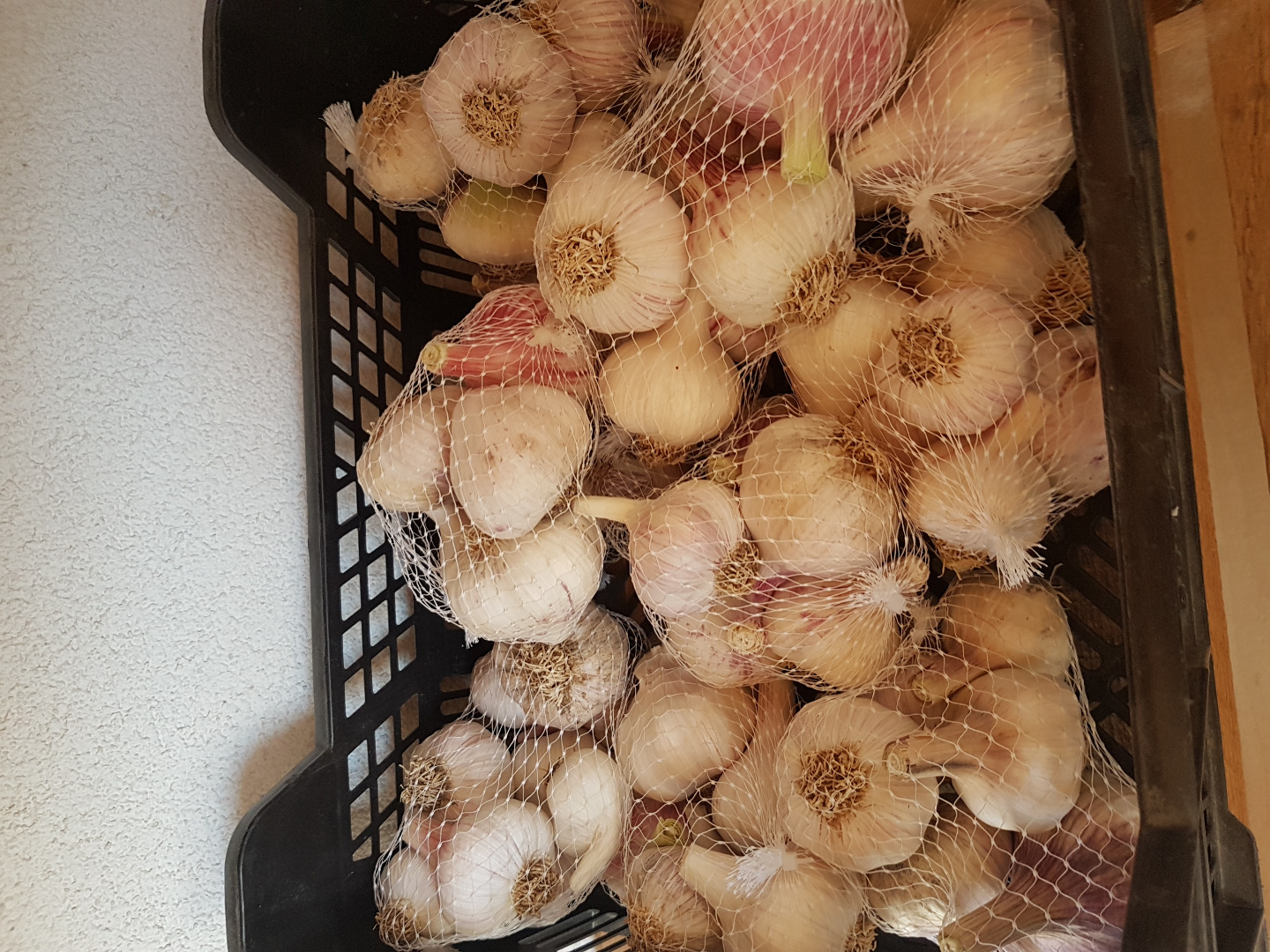 Sell garlic