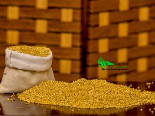 MILLET SEEDS MOQ 18 TONS our web