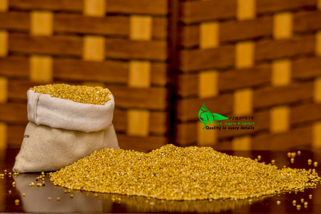 MILLET SEEDS MOQ 18 TONS our web