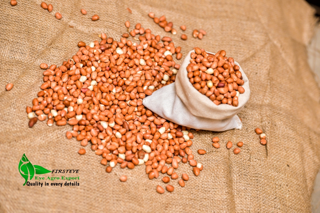 peanuts MOQ 18 TONS FIRSTEYE AGRO EXPORT web
