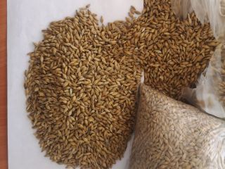 We are a producer from the territory of Altay,