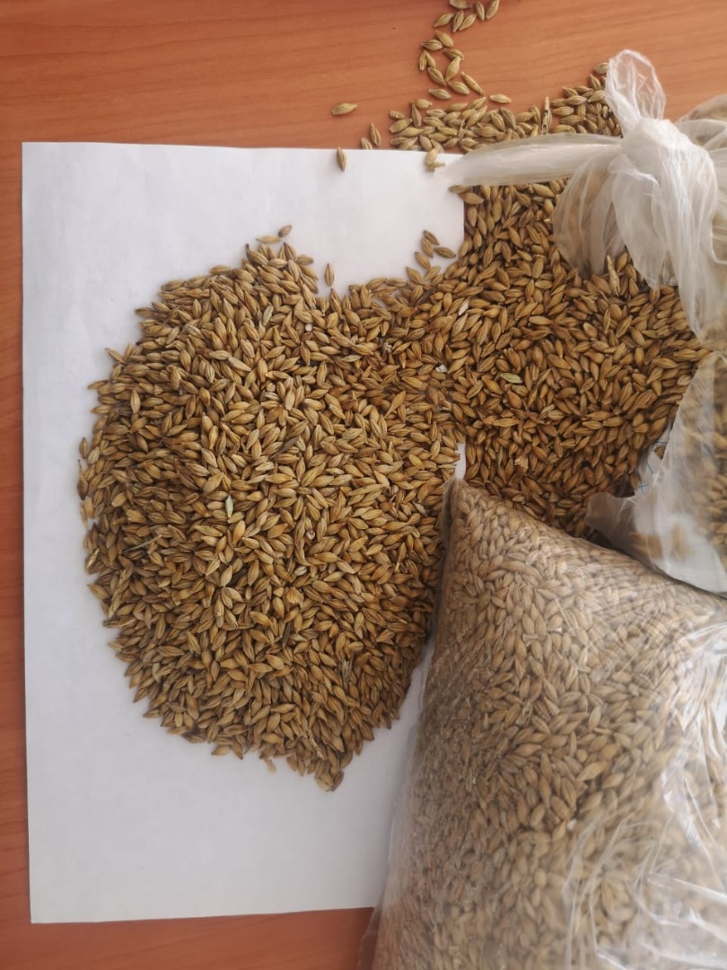 We are a producer from the territory of Altay, Russian Federation