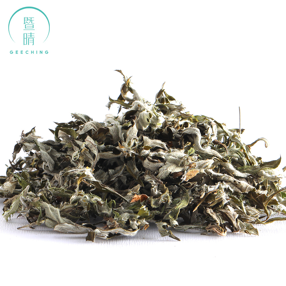 Artemisia argyi, commonly known as silvery wormwood or Chinese mugwort, is a herbaceous perennial plant with a creeping rhizome
