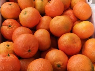Greek Premium Clementine EXW PRICE => 0.68€/kg in wooden/plastic