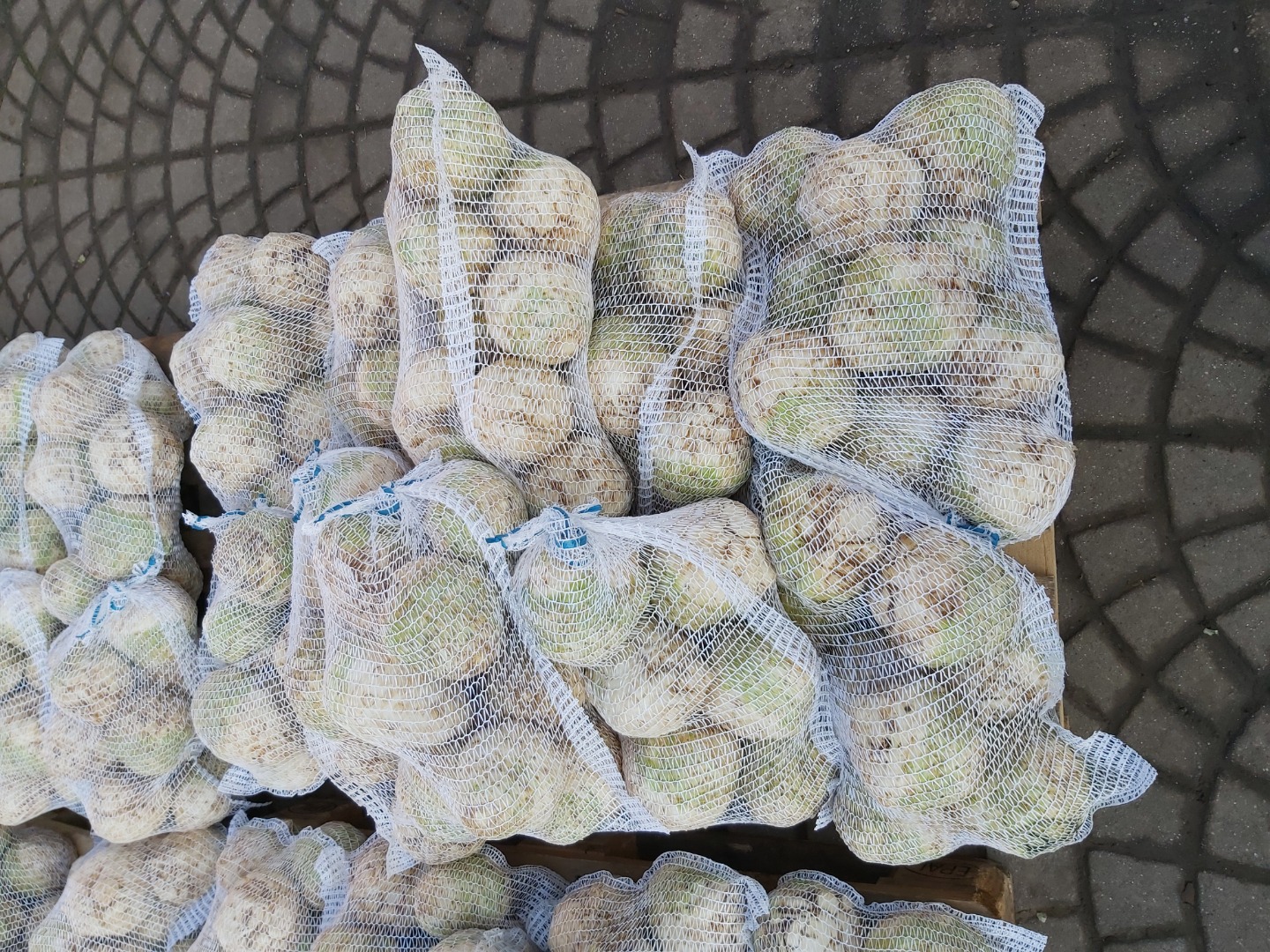 I WILL SELL A SELERA