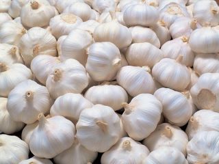 The package for 2015 new fresh garlic: 5kg/mesh bag,10kg/mesh