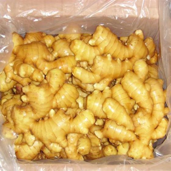 Fresh Vegetable Price List ( Fresh Ginger ) --- supply more than 600X40'' reefer container every year --- 1) Sizes: 4.5 - 5.0cm, 5.0 - 5.5cm, 5.5 - 6.0cm, 6.0