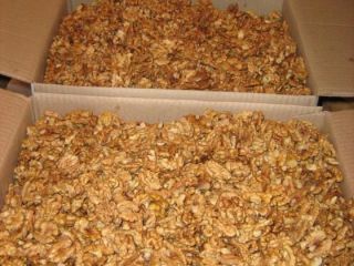 Excellent Purity Crunchy Walnuts and Kernels for Wholesale Purchase
