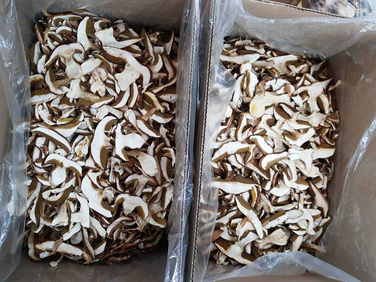 Dried and frozen porcini mushrooms in large quantities