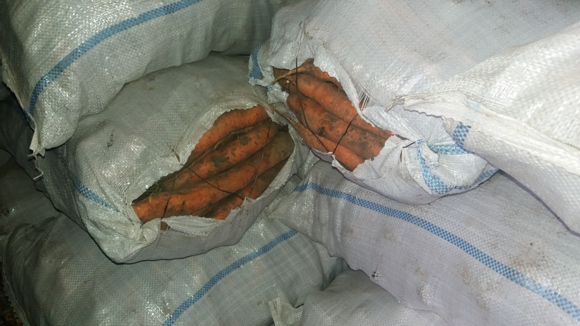 I sell carrots and pickles