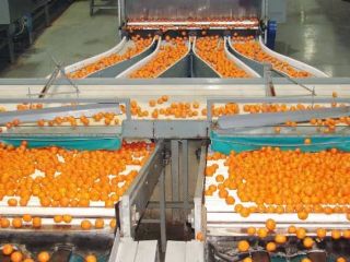 Fresh produce