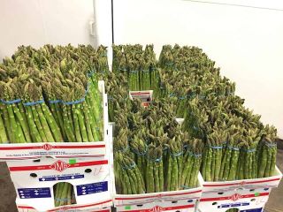 Fresh vegetables produce